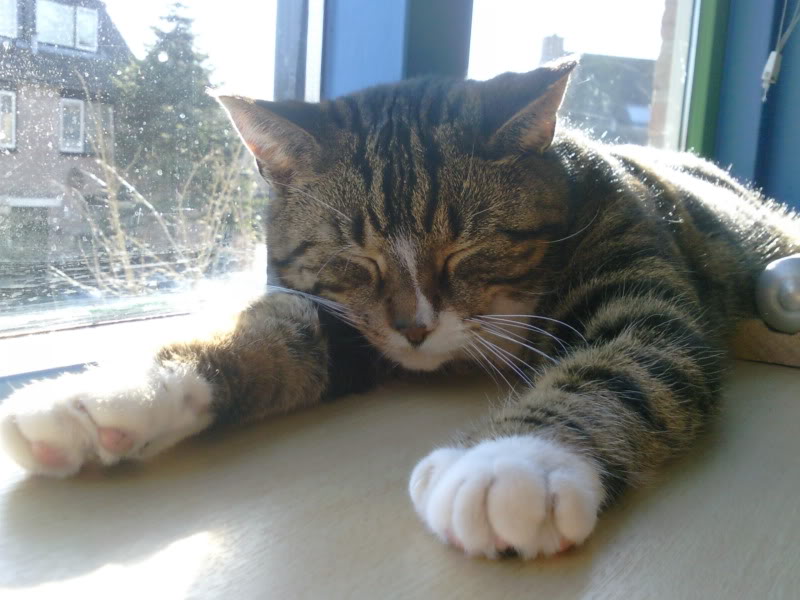 Name:  Foto0204.jpg
Views: 30
Size:  74.7 KB