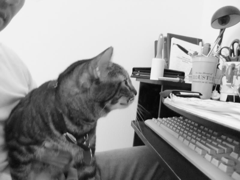 Name:  DSCF5141.jpg
Views: 36
Size:  55.5 KB