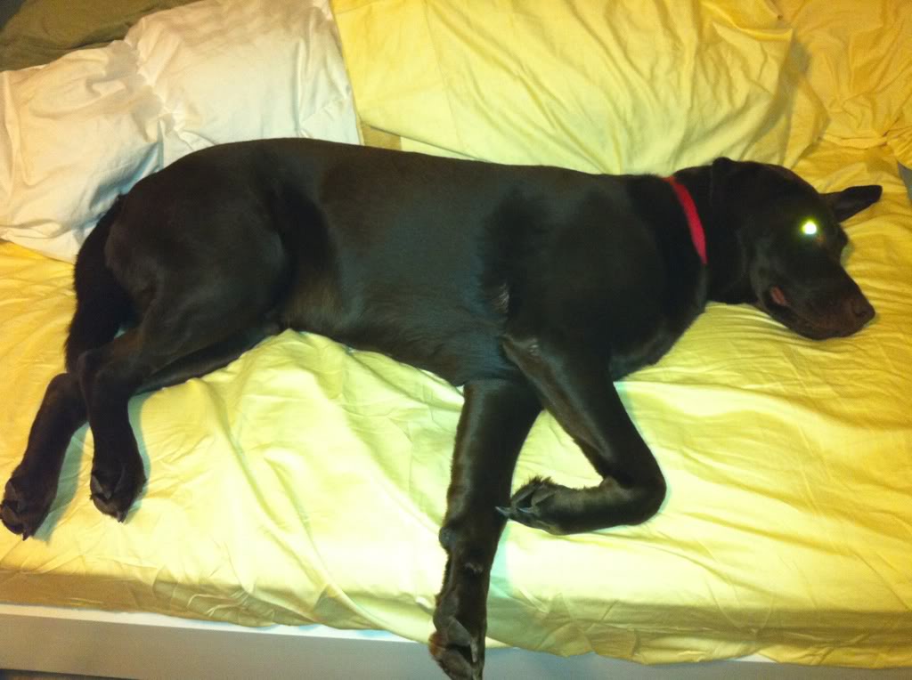 Name:  ad324ff6.jpg
Views: 94
Size:  81.1 KB