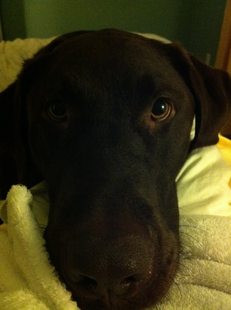 Name:  e58e09b2.jpg
Views: 93
Size:  87.6 KB