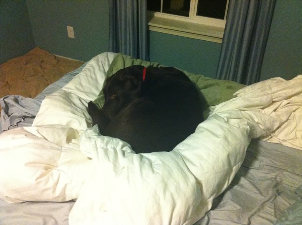 Name:  c05d8b33.jpg
Views: 98
Size:  102.7 KB