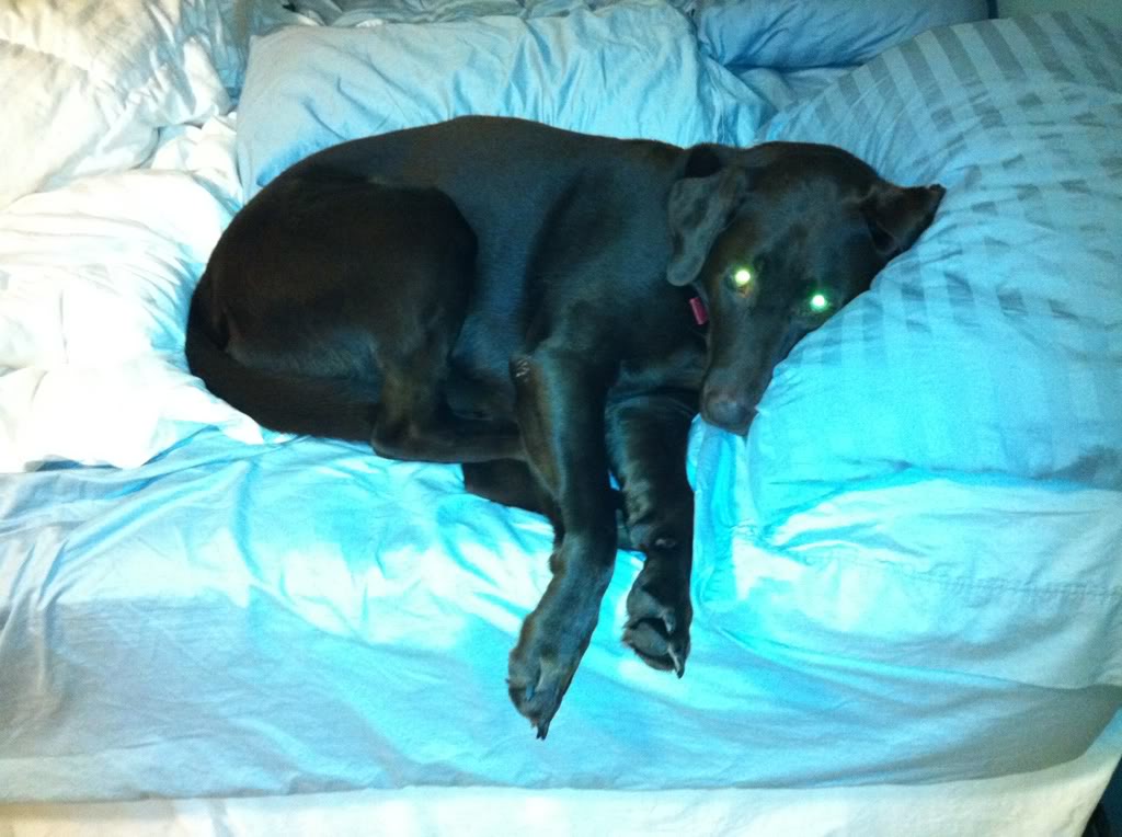 Name:  ad7ffba0.jpg
Views: 85
Size:  95.7 KB