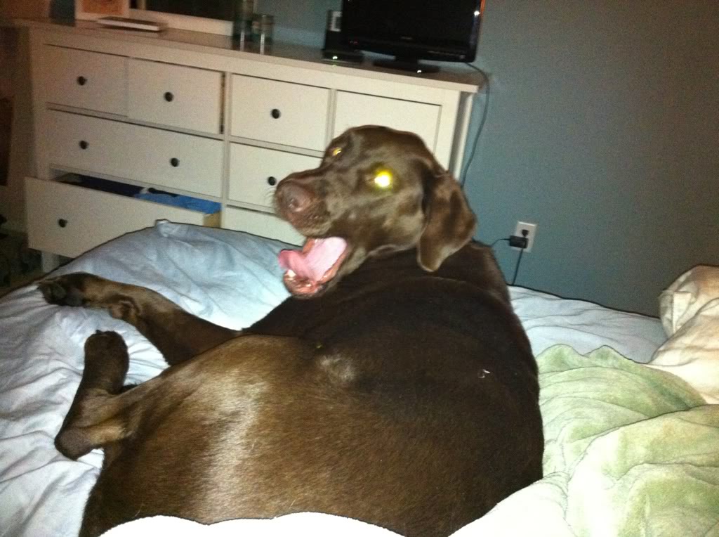 Name:  82a467d7.jpg
Views: 83
Size:  117.6 KB