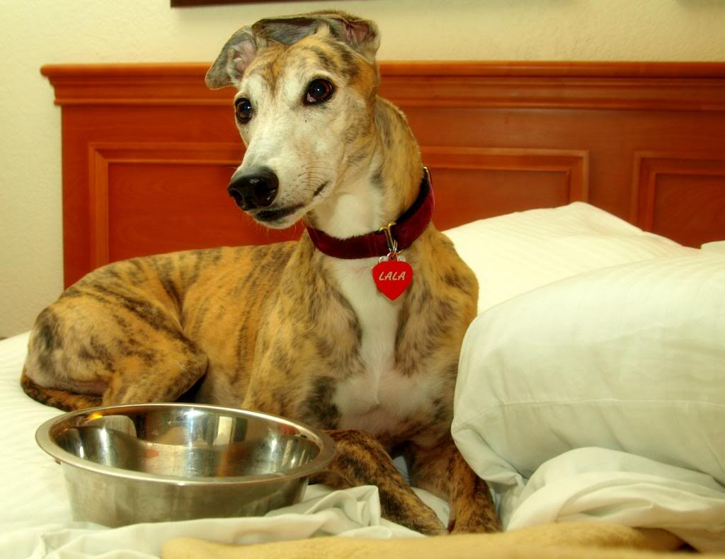 Name:  P1010300.jpg
Views: 107
Size:  86.9 KB