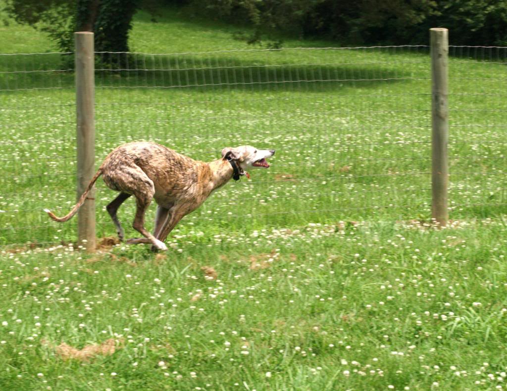 Name:  P5300901.jpg
Views: 106
Size:  149.9 KB