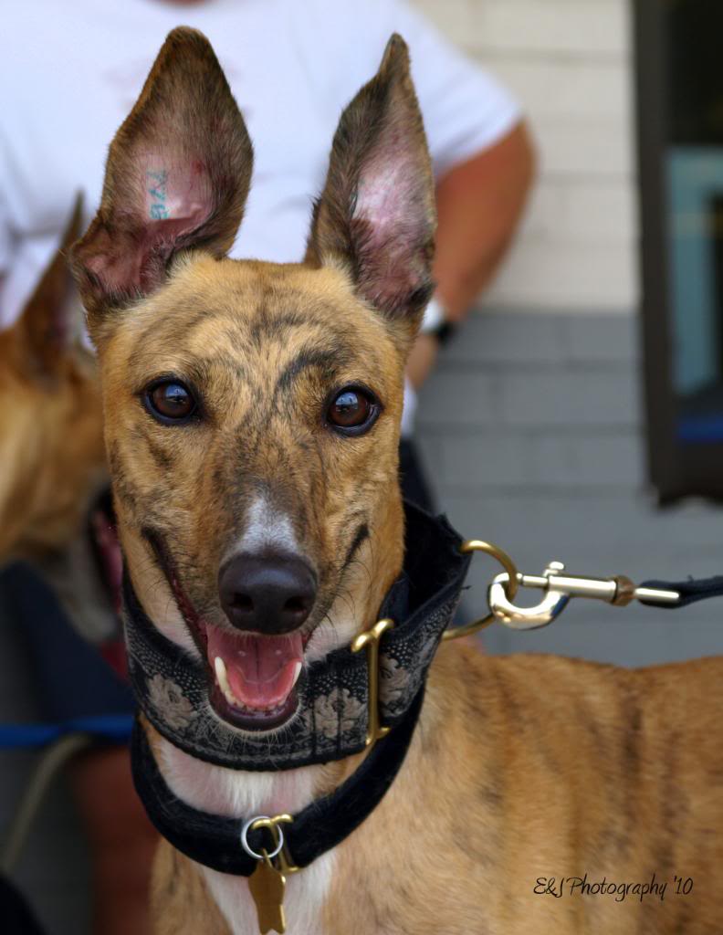 Name:  Sandy.jpg
Views: 104
Size:  82.3 KB