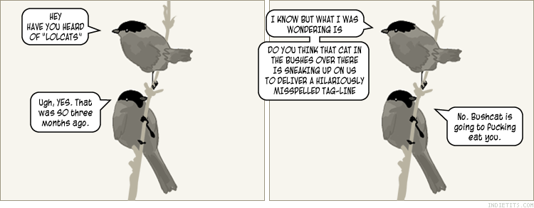 Name:  lolcatsbirdssf7.png
Views: 149
Size:  21.9 KB