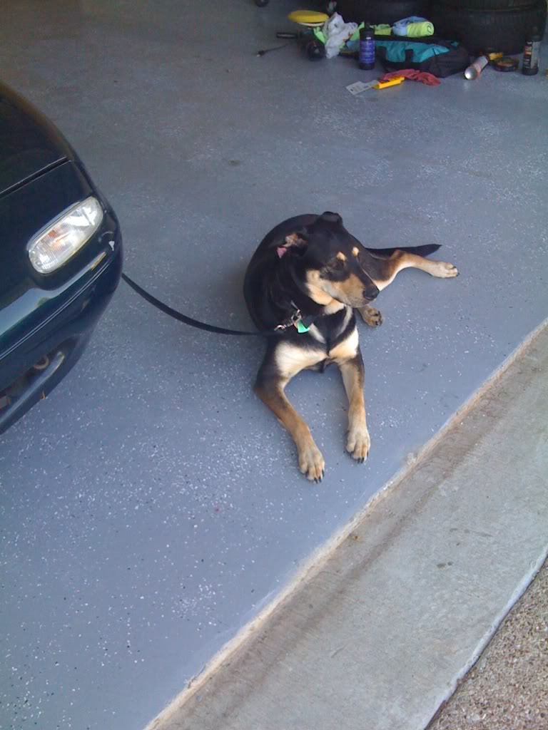 Name:  2ad27b5a.jpg
Views: 114
Size:  96.3 KB