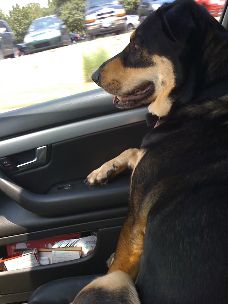 Name:  1fe3ceab.jpg
Views: 97
Size:  82.1 KB