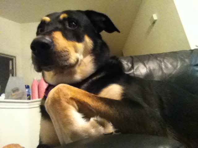 Name:  1413825e.jpg
Views: 102
Size:  36.8 KB