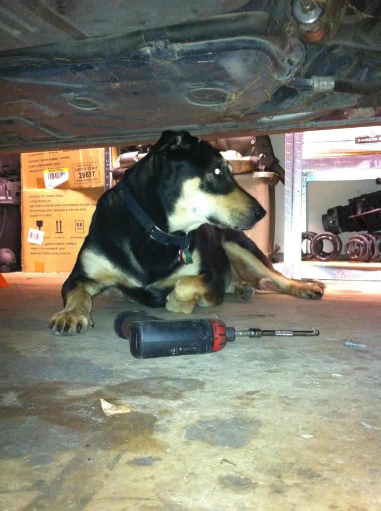 Name:  6f834996.jpg
Views: 108
Size:  122.9 KB