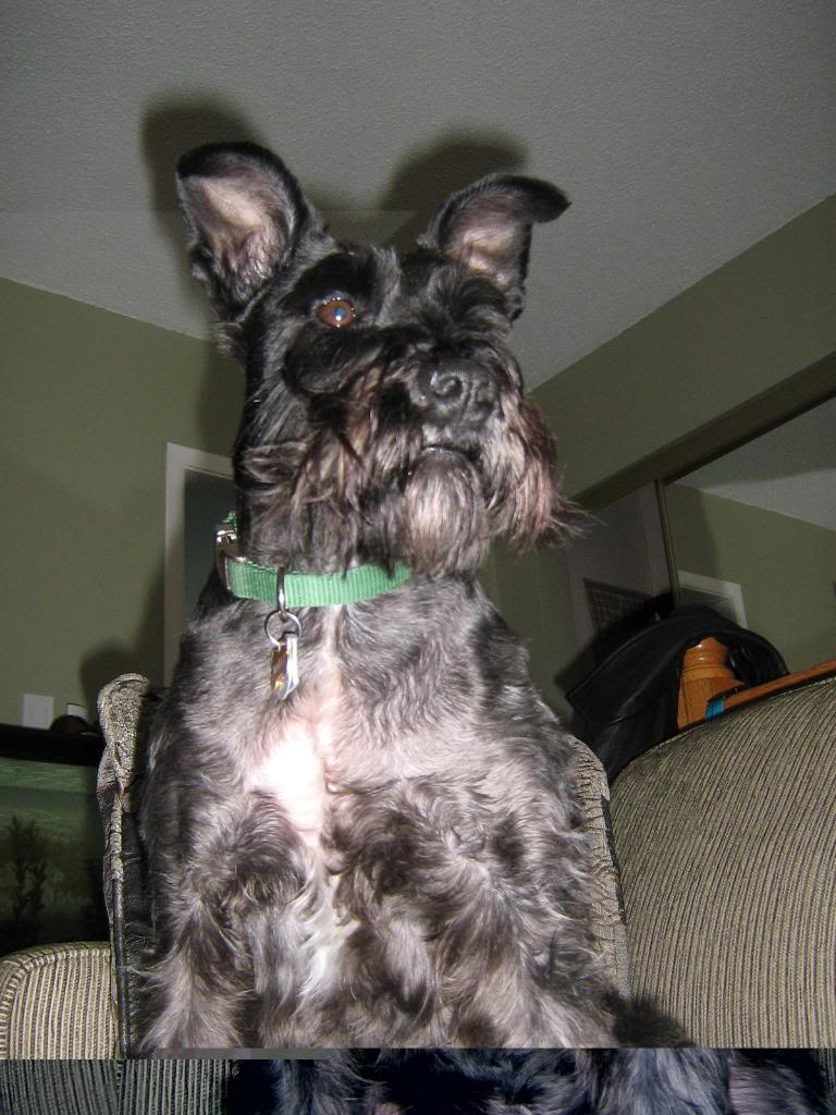 Name:  IMG_0560.jpg
Views: 98
Size:  113.5 KB