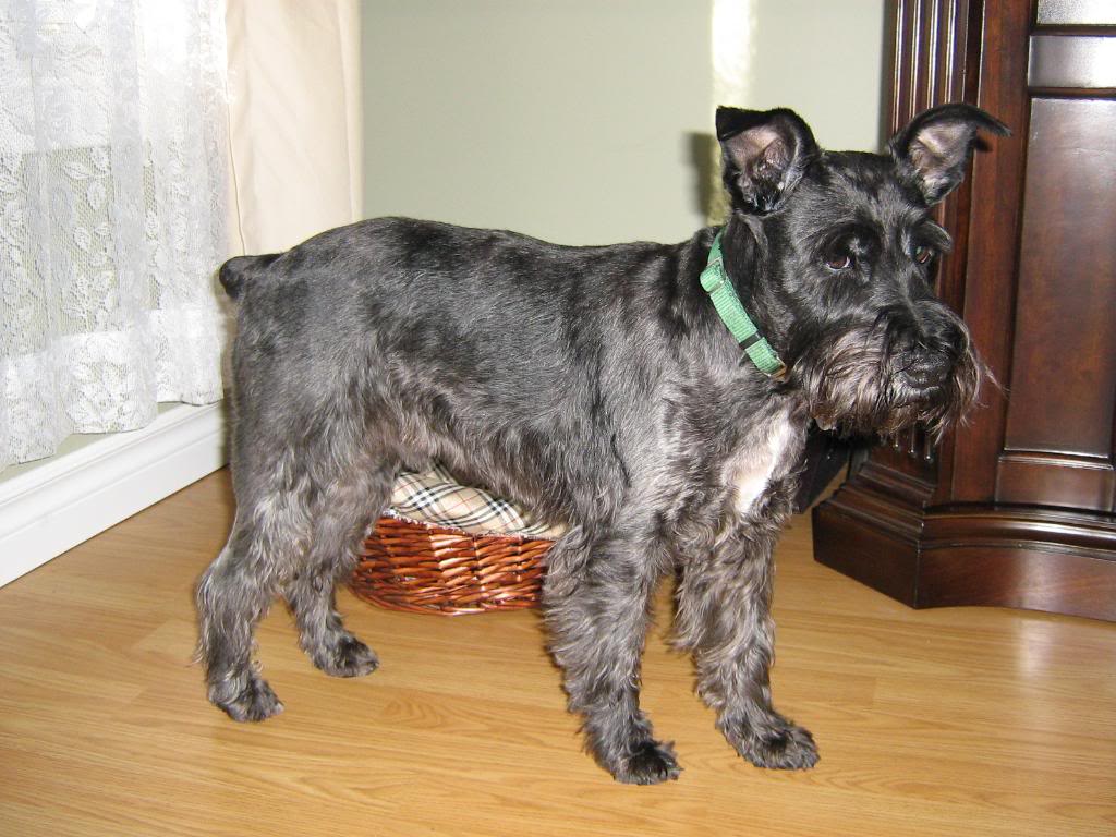 Name:  IMG_0559.jpg
Views: 103
Size:  118.1 KB