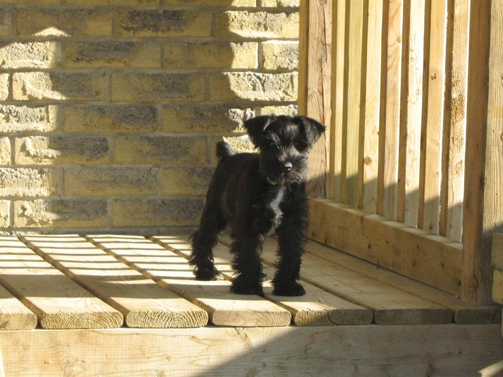 Name:  IMG_0299.jpg
Views: 114
Size:  118.7 KB