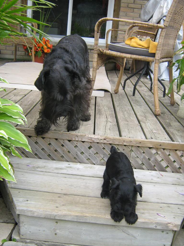 Name:  IMG_0251.jpg
Views: 104
Size:  130.3 KB