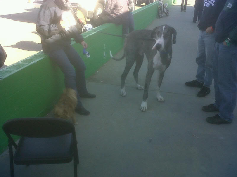 Name:  IMG00050-20100220-1509.jpg
Views: 108
Size:  36.6 KB