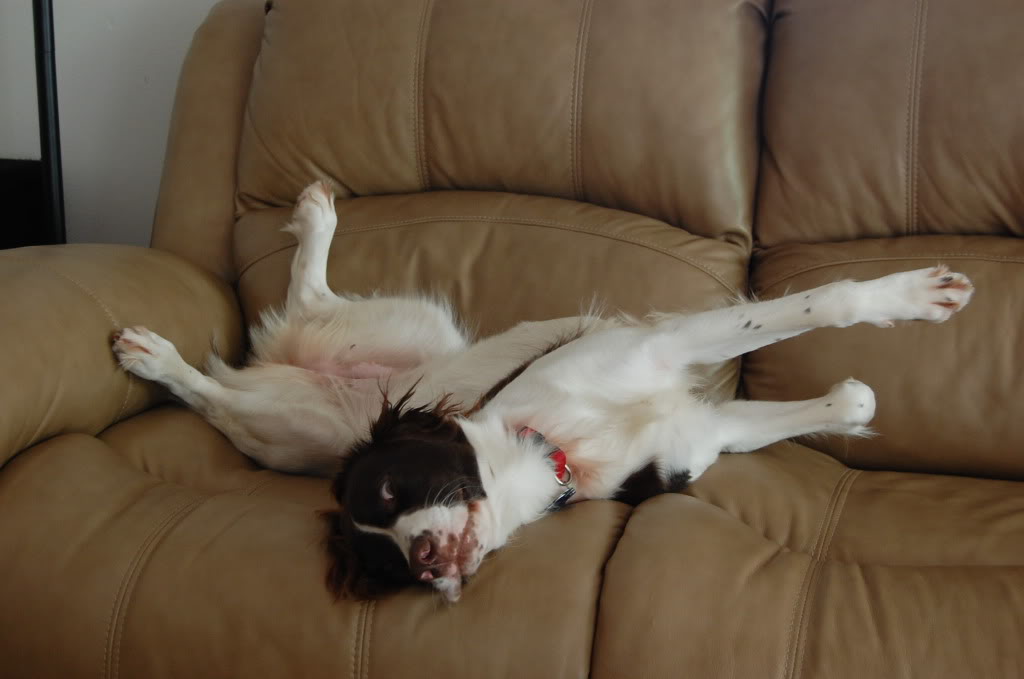 Name:  DSC_0007.jpg
Views: 102
Size:  53.7 KB