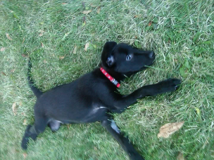 Name:  39512_420782484265_504109265_4564621_2977241_n.jpg
Views: 102
Size:  111.3 KB