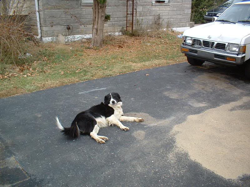 Name:  copyhb.jpg
Views: 123
Size:  111.3 KB