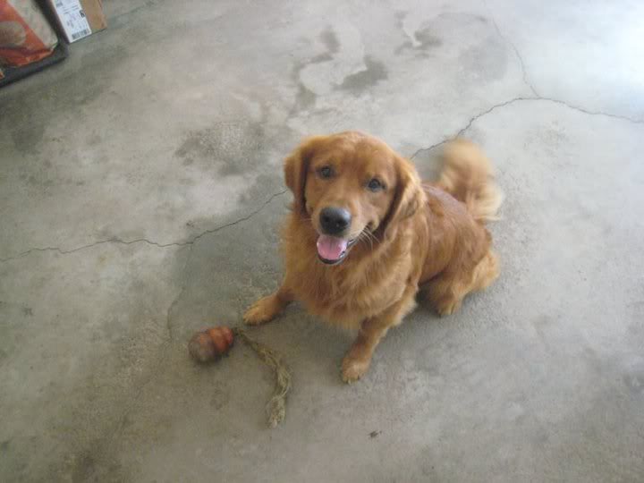 Name:  sock.jpg
Views: 159
Size:  34.4 KB