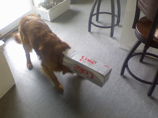 Name:  sockinabox.jpg
Views: 134
Size:  36.5 KB