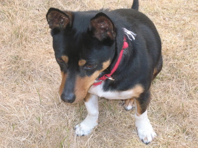 Name:  IMG_0608.jpg
Views: 158
Size:  126.9 KB