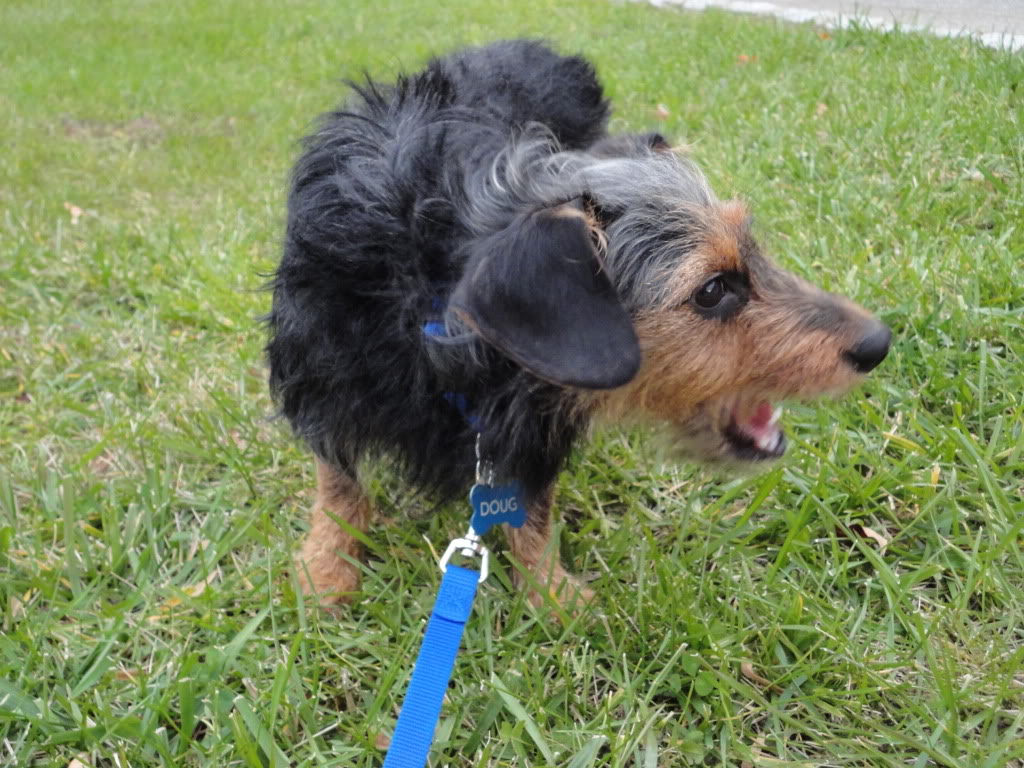 Name:  DSC00004.jpg
Views: 151
Size:  177.5 KB