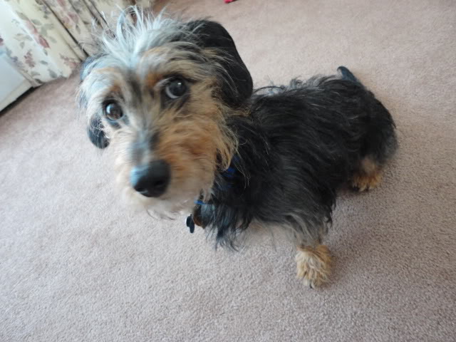 Name:  DSC00478.jpg
Views: 129
Size:  60.0 KB