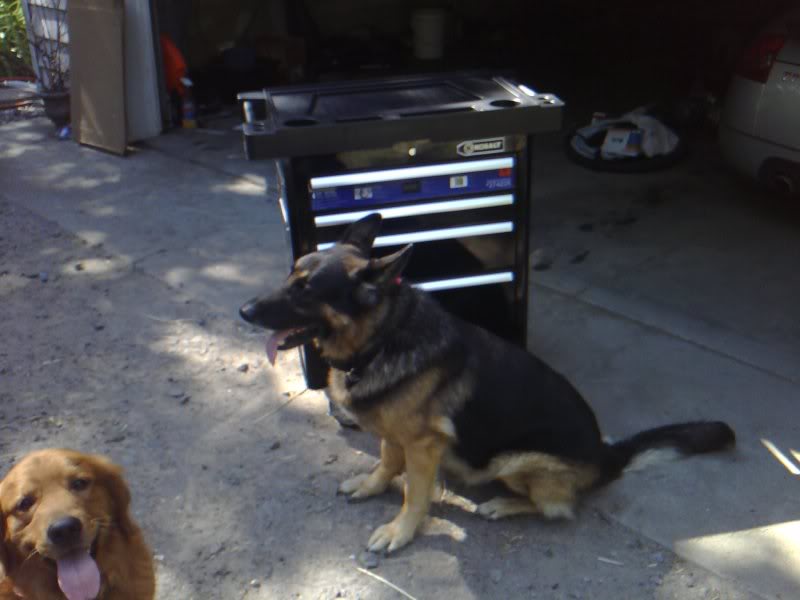 Name:  2-2.jpg
Views: 144
Size:  42.9 KB