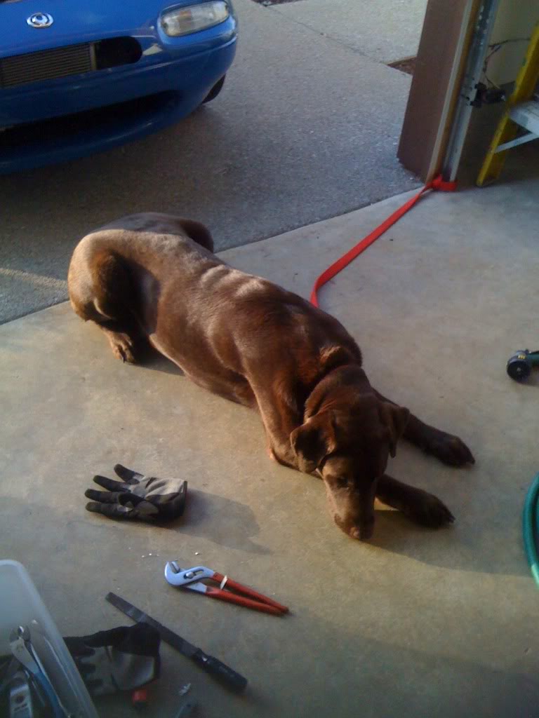 Name:  IMG_0441.jpg
Views: 40
Size:  79.1 KB