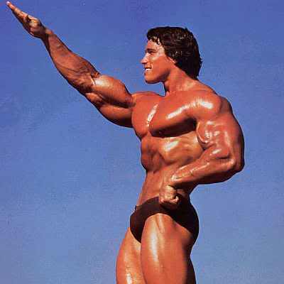 Name:  arnold-schwarzenegger.jpg
Views: 79
Size:  11.3 KB