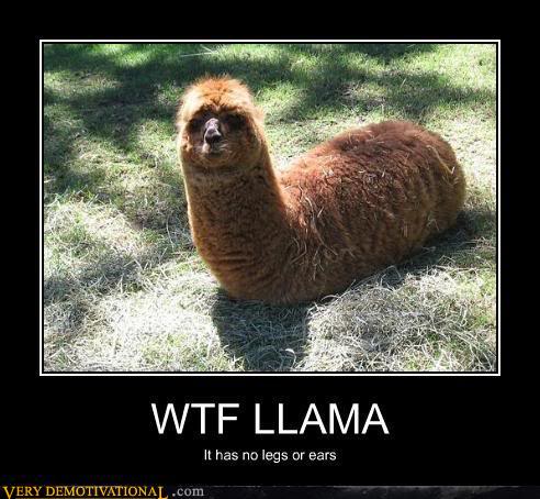 Name:  WTFLlama.jpg
Views: 263
Size:  46.5 KB