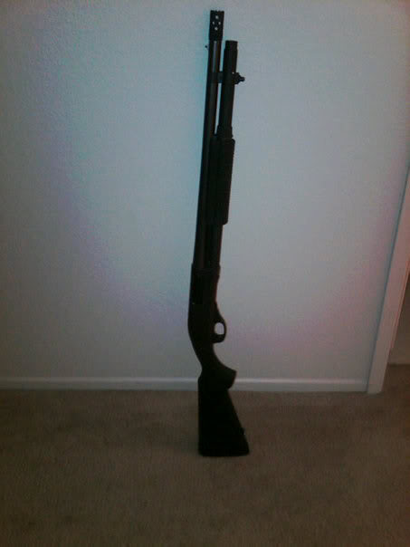 Name:  23667_329702518482_560923482_3680576_7811375_n.jpg
Views: 66
Size:  23.1 KB