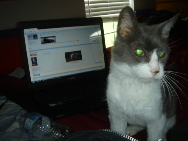 Name:  DSC07609-1.jpg
Views: 120
Size:  43.6 KB