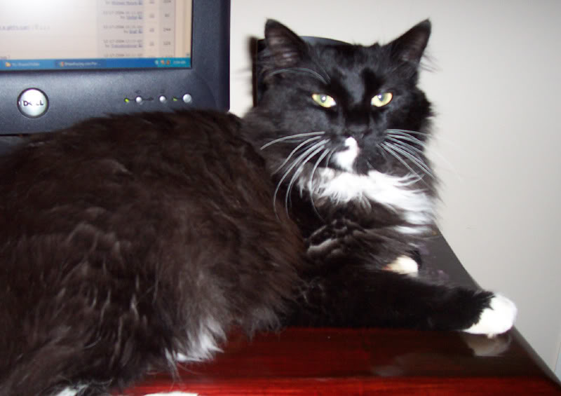 Name:  Picture003-1.jpg
Views: 135
Size:  50.0 KB