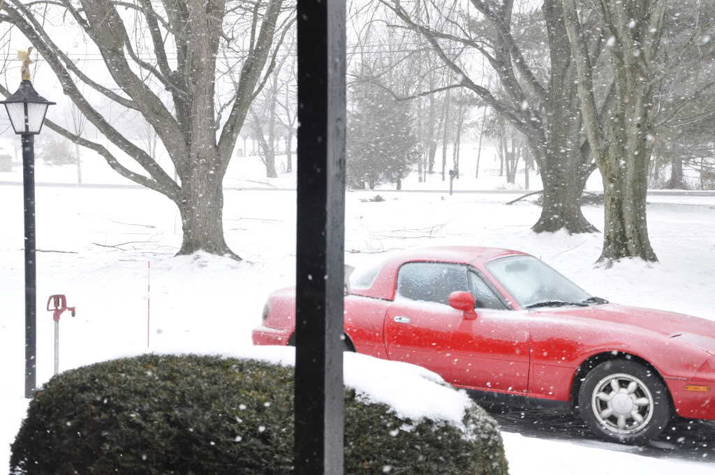 Name:  DSC_0292.jpg
Views: 164
Size:  163.8 KB