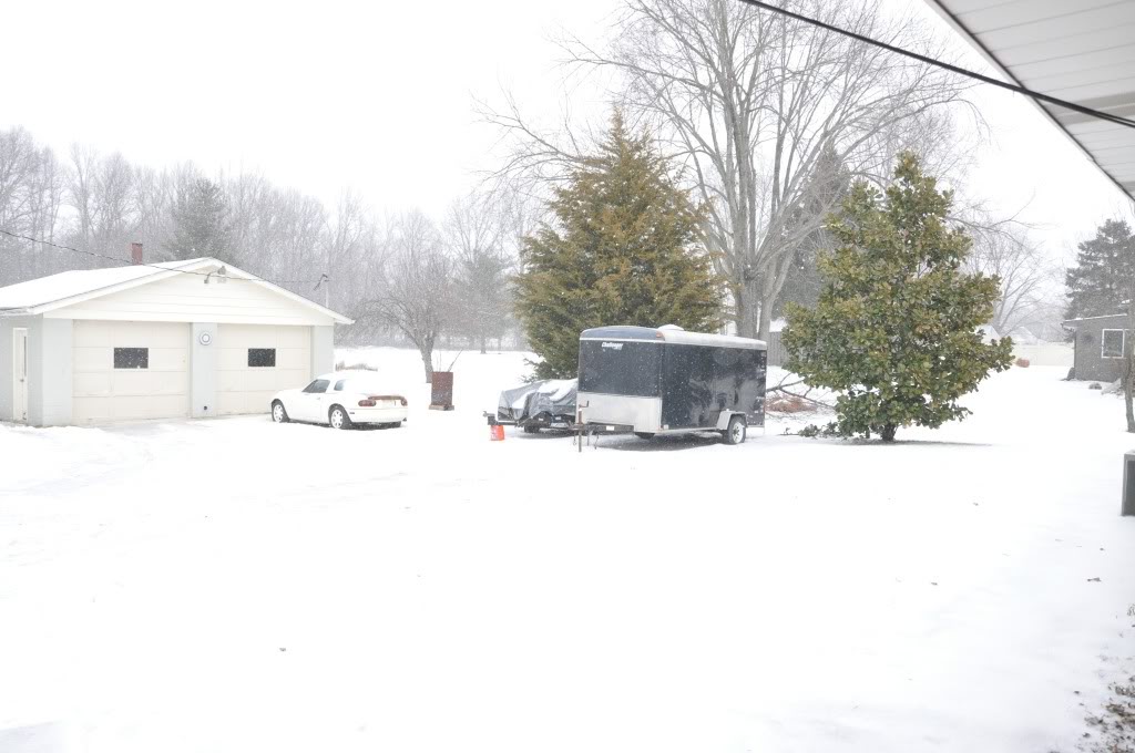 Name:  DSC_0293.jpg
Views: 162
Size:  101.5 KB