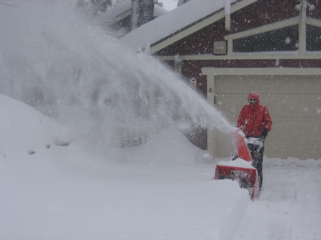 Name:  IMG_1932.jpg
Views: 53
Size:  79.1 KB