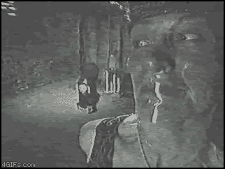 Name:  The_Poughkeepsie_Tapes.gif
Views: 181
Size:  2.48 MB