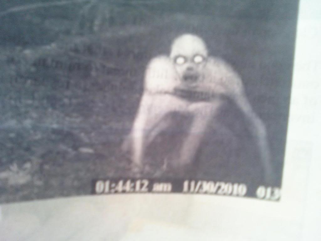 Name:  1225001133.jpg
Views: 124
Size:  36.0 KB