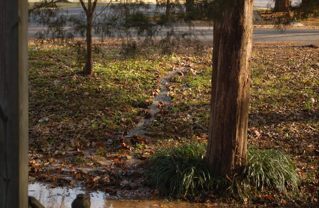 Name:  WMB.jpg
Views: 118
Size:  260.2 KB