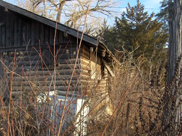 Name:  HPIM0985.jpg
Views: 110
Size:  129.6 KB