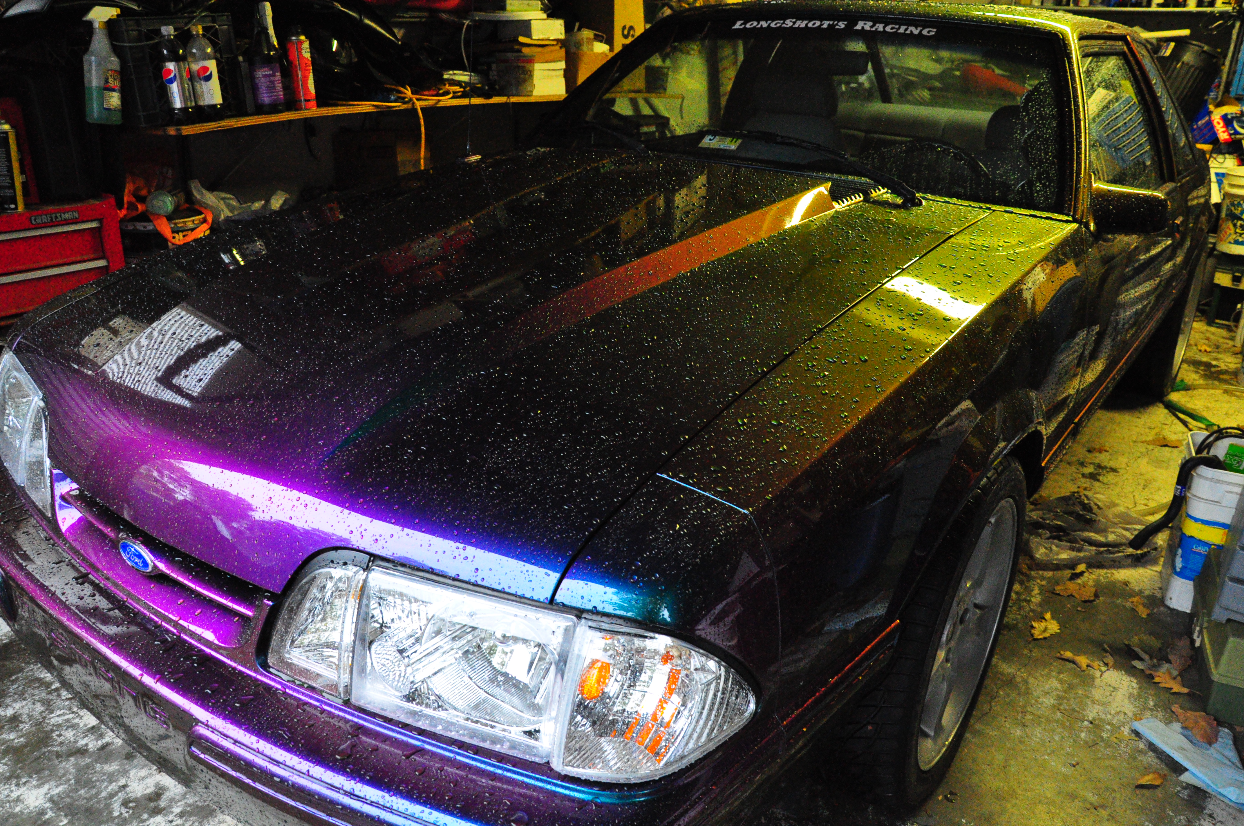 Name:  DSC_8096.jpg
Views: 187
Size:  6.53 MB