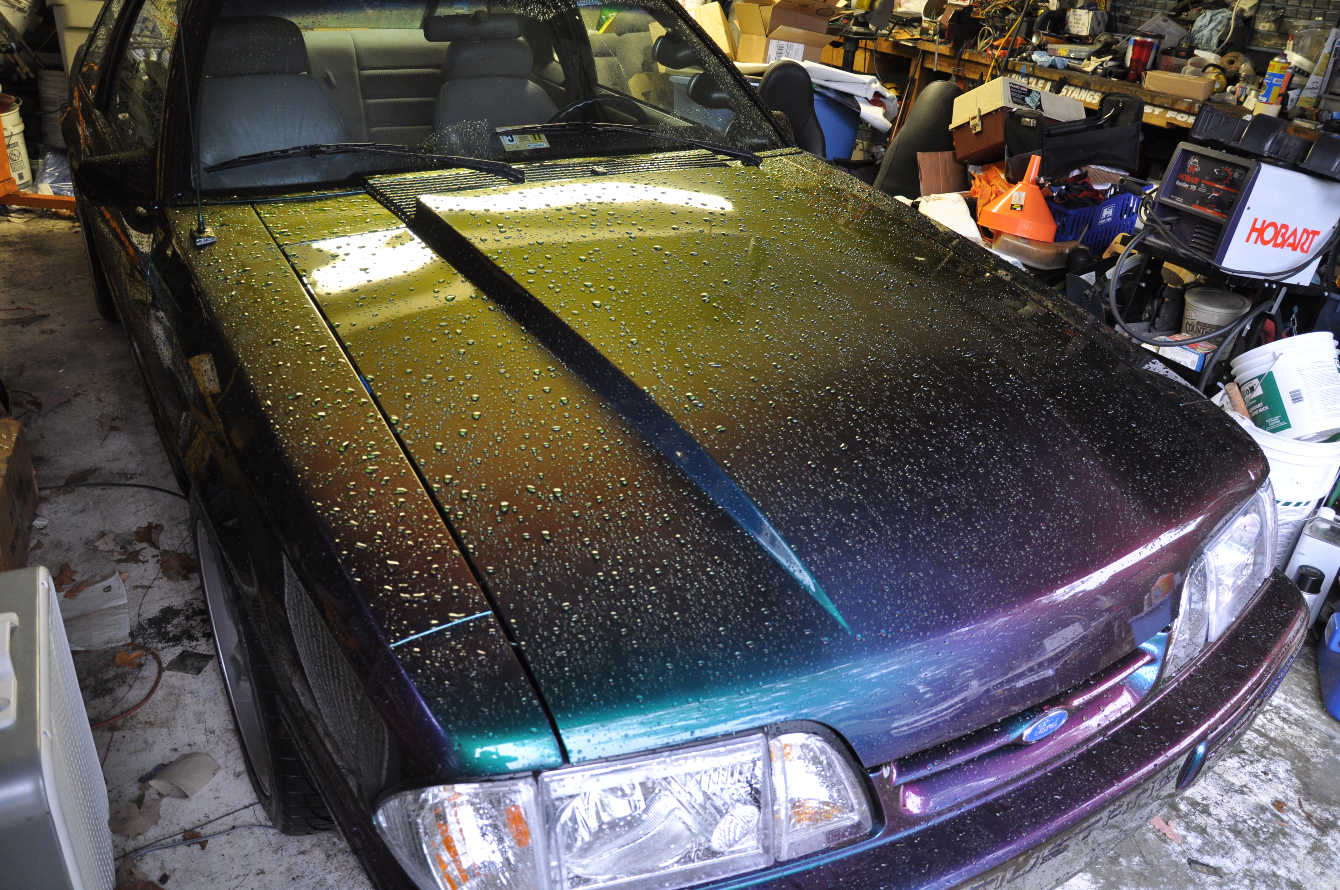 Name:  DSC_8092.jpg
Views: 208
Size:  6.24 MB