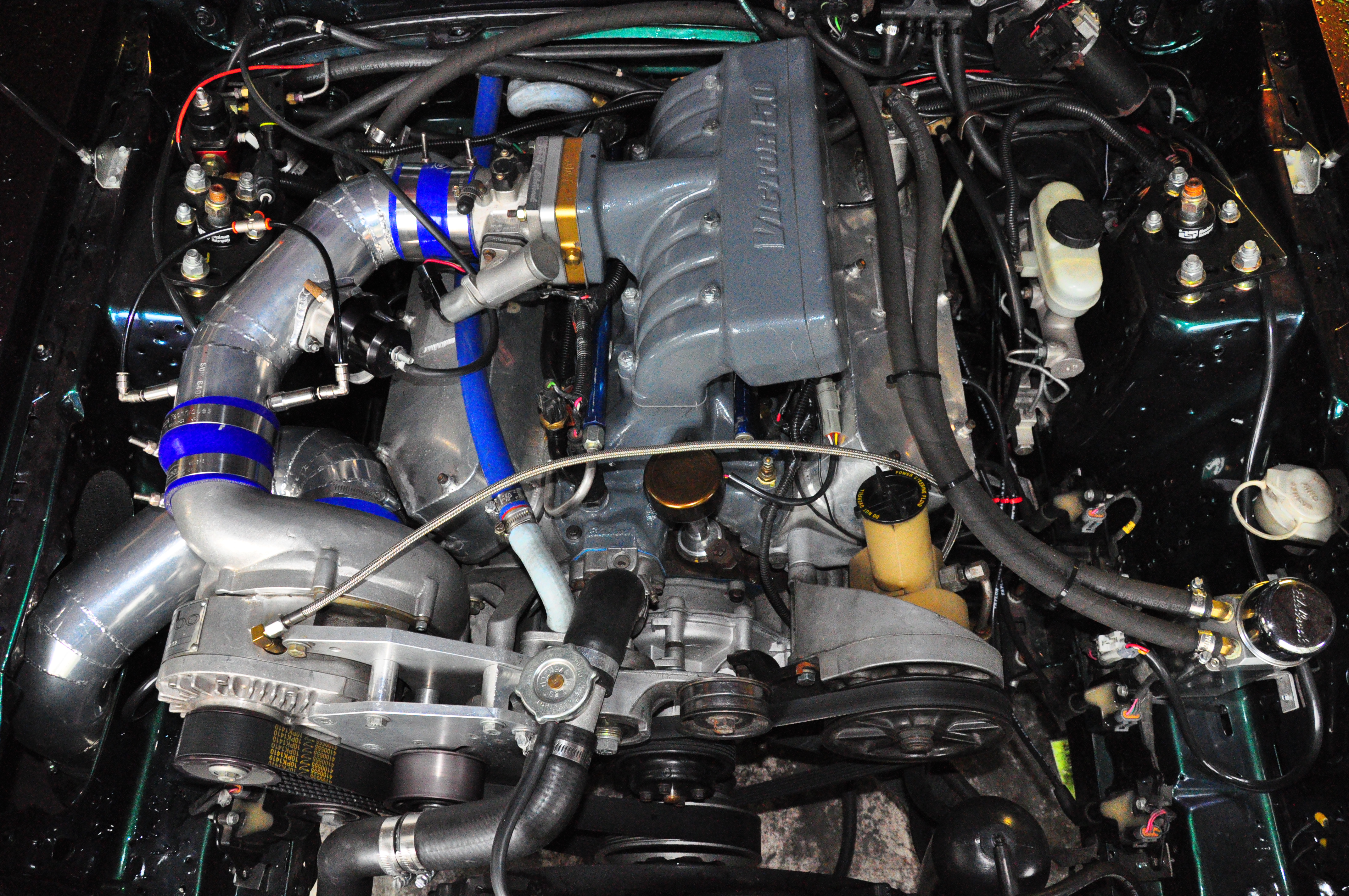 Name:  DSC_8097.jpg
Views: 237
Size:  7.00 MB