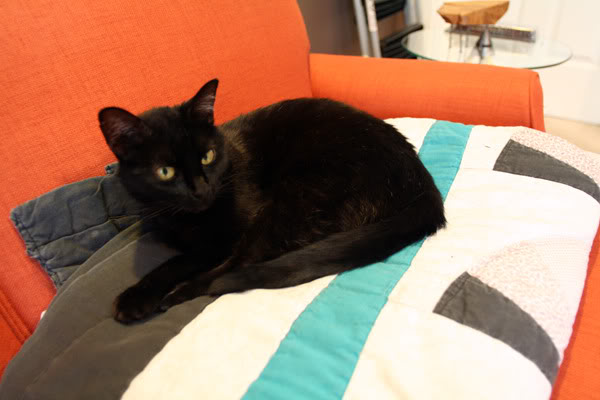 Name:  IMG_5982_small-1.jpg
Views: 10703
Size:  42.4 KB