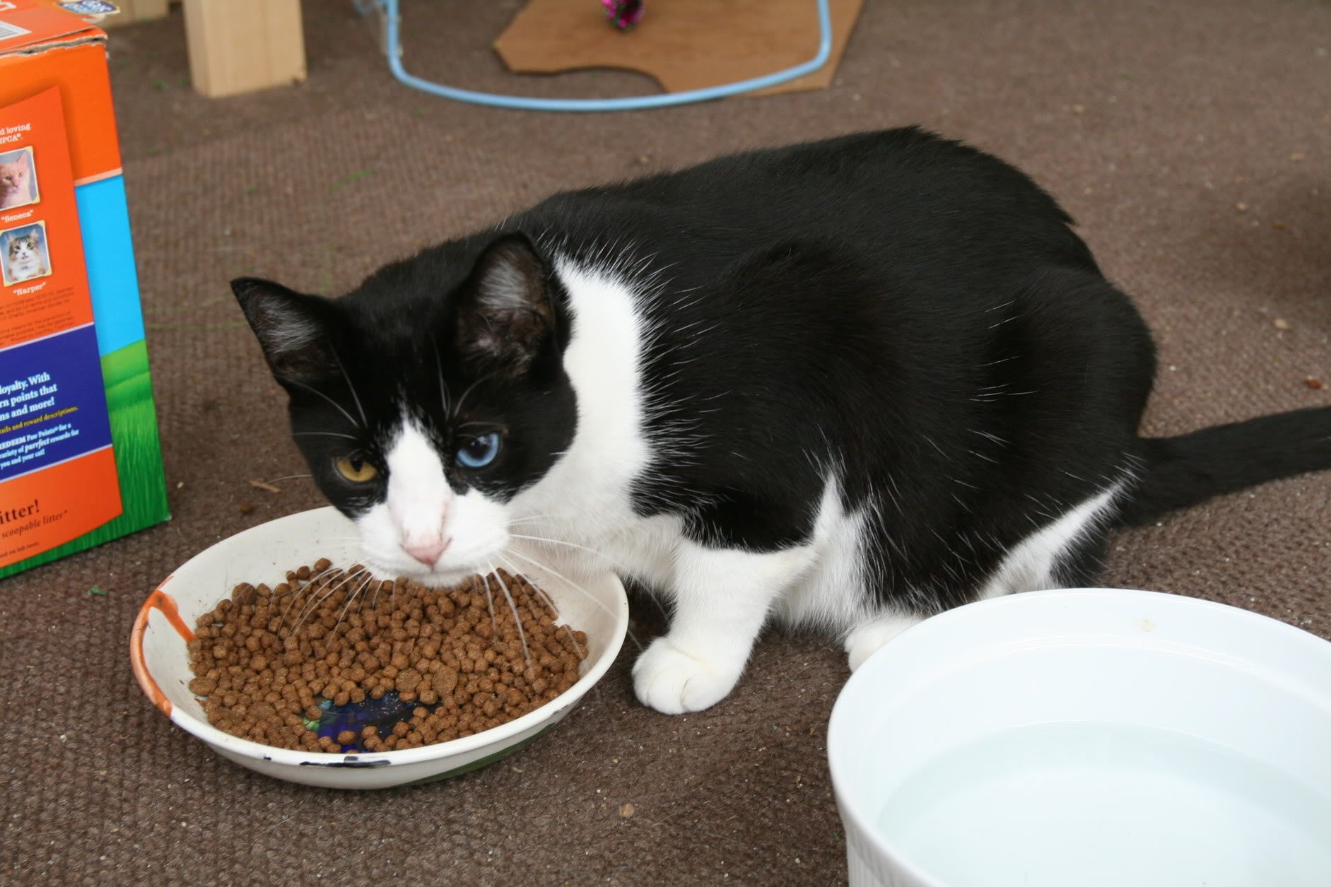 Name:  IMG_5979.jpg
Views: 11545
Size:  296.5 KB