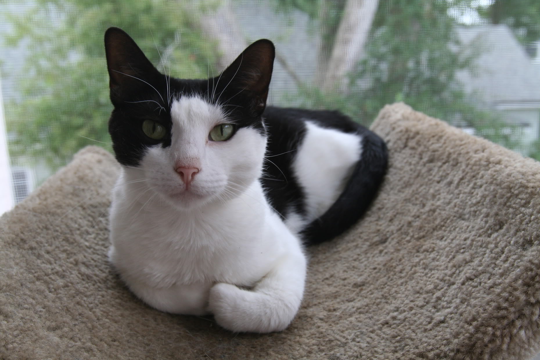 Name:  IMG_5961.jpg
Views: 11669
Size:  280.5 KB