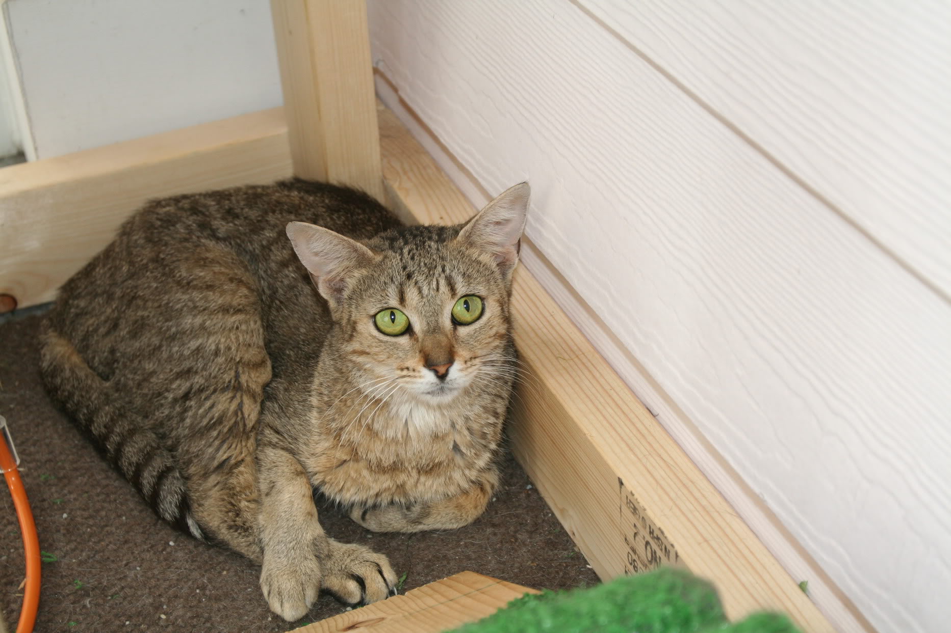 Name:  IMG_5966.jpg
Views: 11200
Size:  290.5 KB