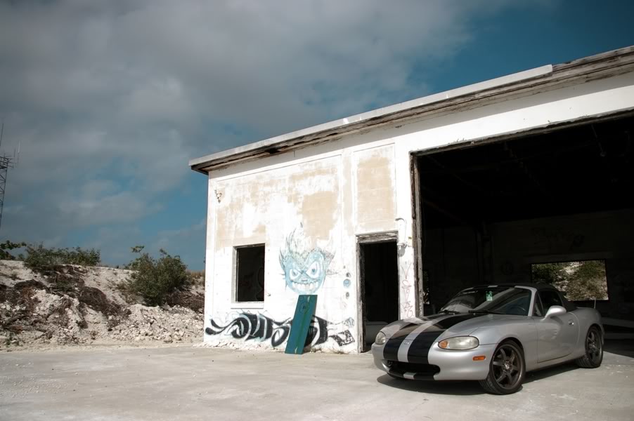 Name:  IMGP2622_re2_small.jpg
Views: 543
Size:  74.9 KB